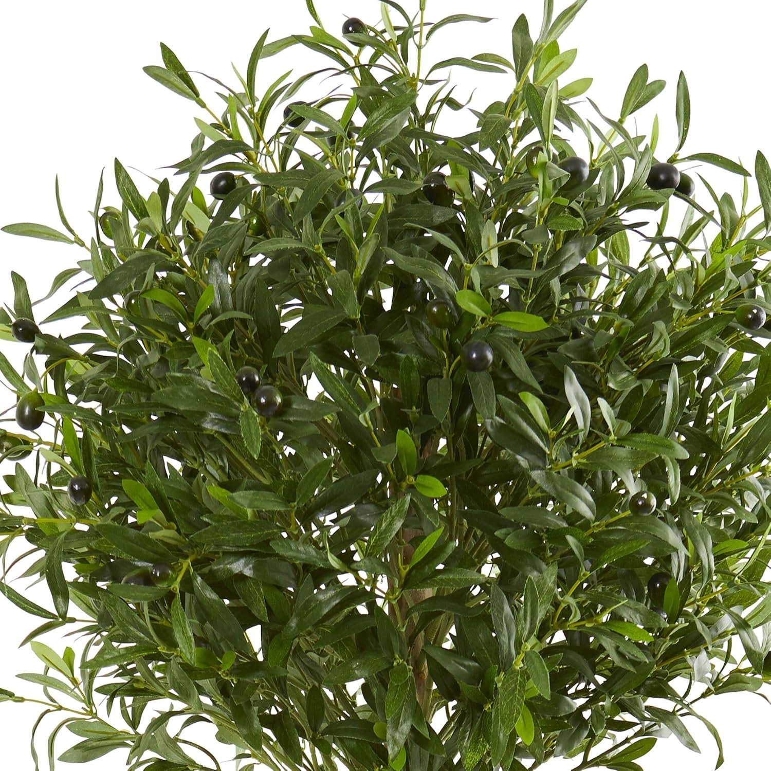 5Ft Olive Topiary Tree in Elegant White Planter – Perfect Home Decor