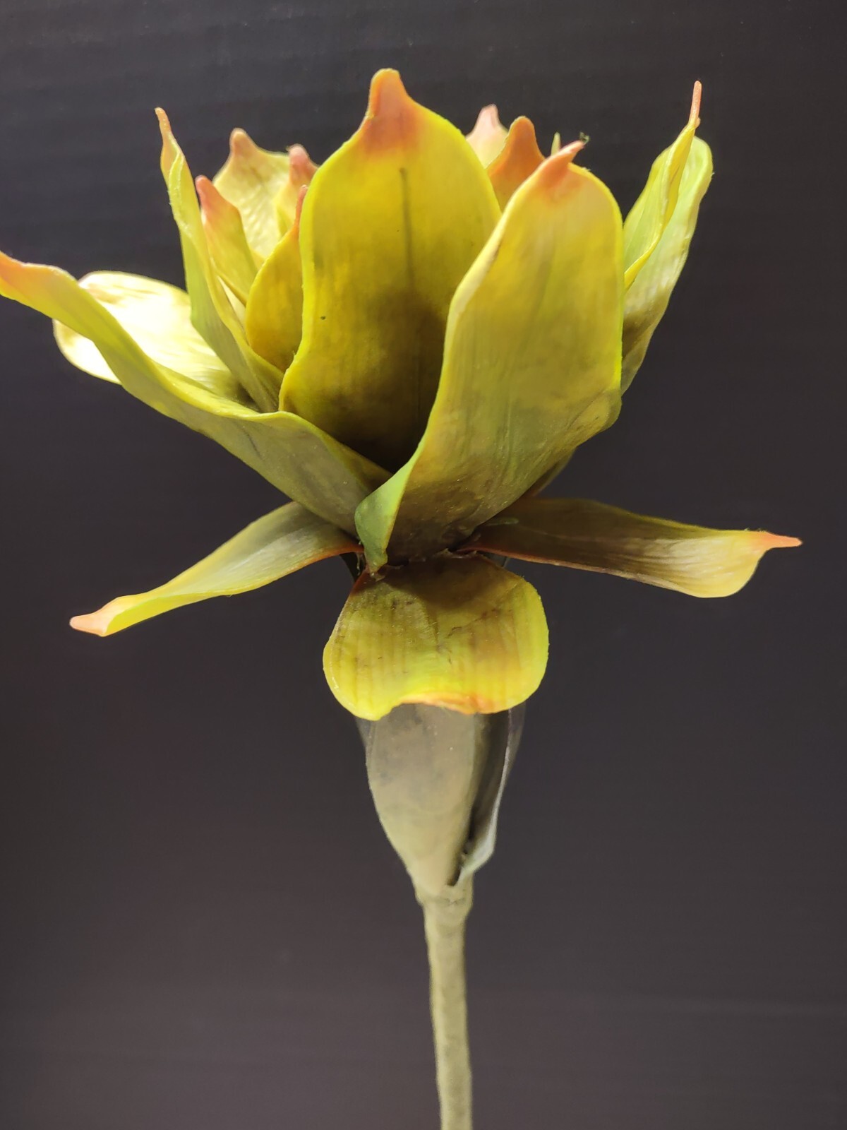 Artificial rose ginger lily, Hawaiian flowers, tropical flower stems LIME GREEN