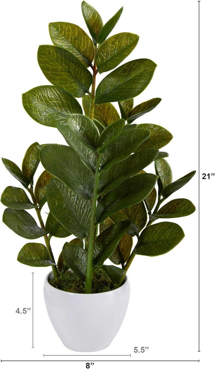 22In. Zamioculcas Artificial Plant in White Planter
