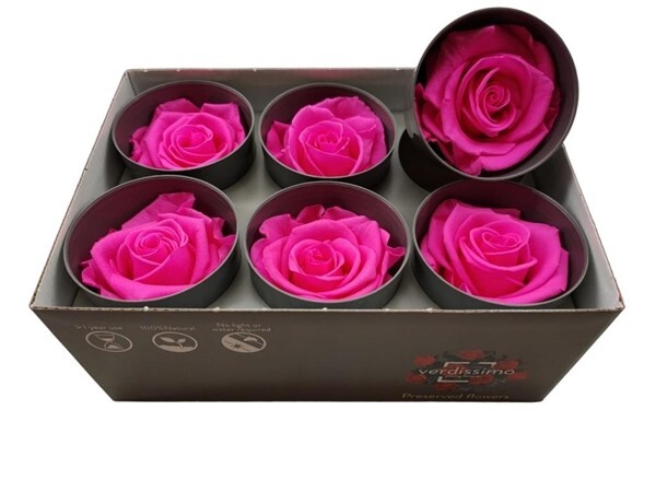 Preserved Ice Dry Bright Pink Roses – Set of 6 Vibrant Decorative Flowers