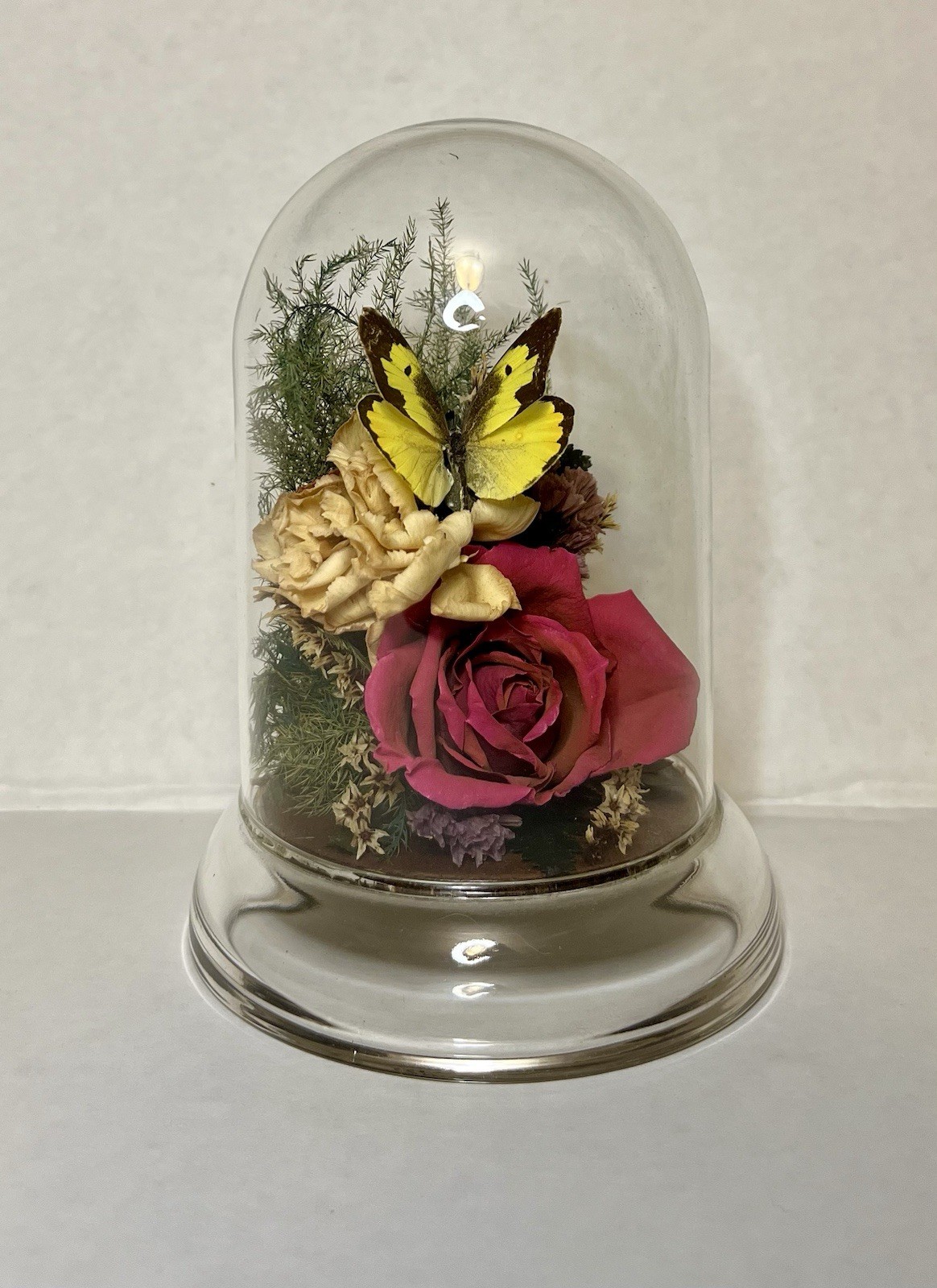 Vintage 90s Natural Expressions Dried Roses Butterfly Glass Terrarium Grannycore