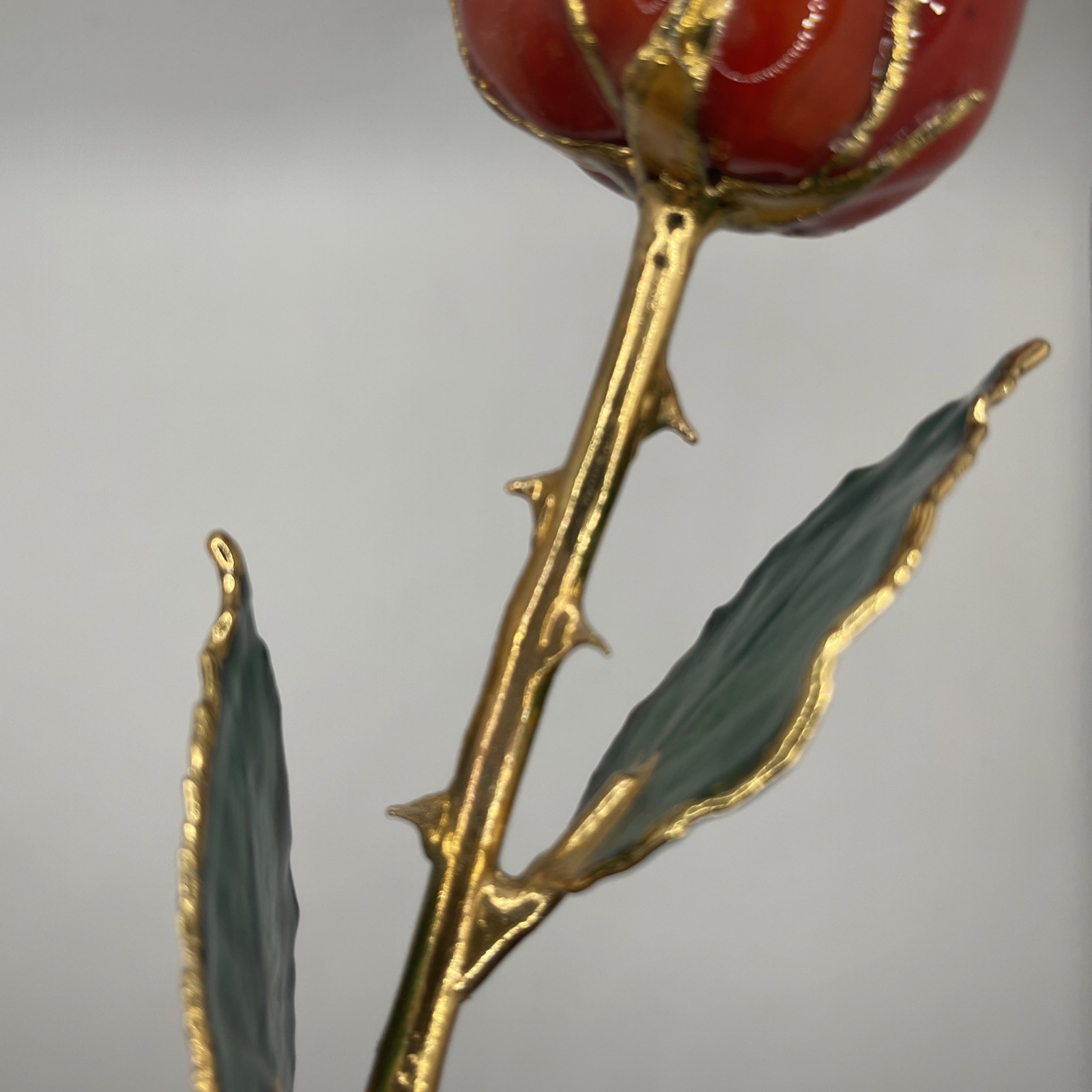 Genuine Real Rose Trimmed In 24 Kt. Gold Long Stem Rose Red Rose Green Leaves