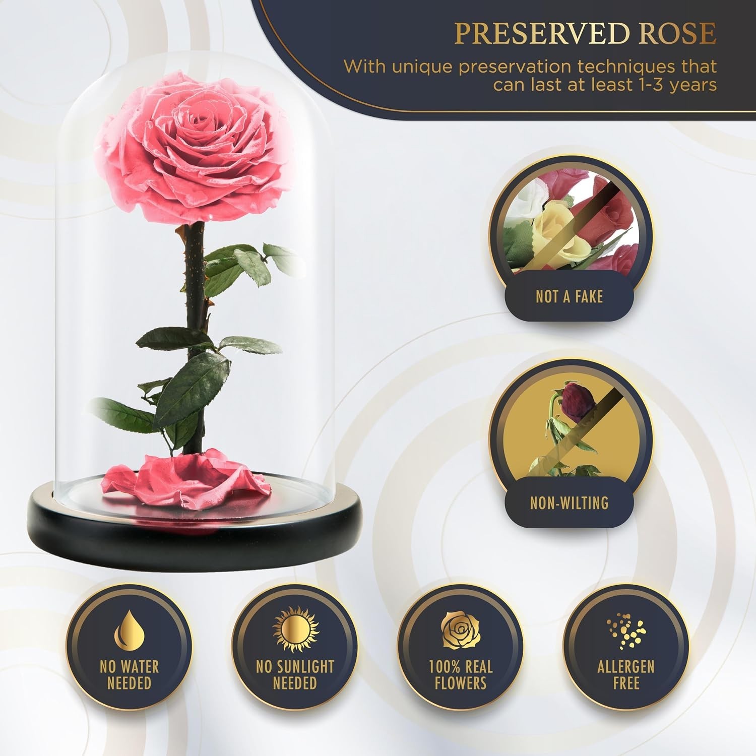 Long-lasting Pink Rose in Glass Dome – Elegant Gift for Every Occasion (9 Inch)