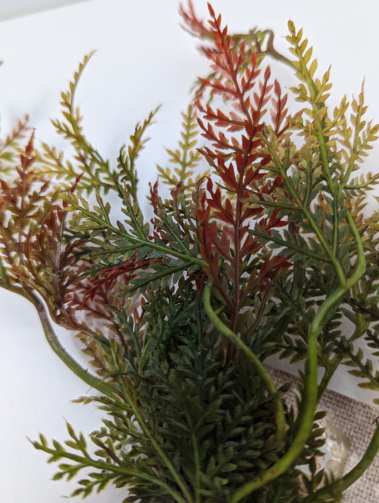 Fall for All Floral Accessory – Fern Stem Cluster – Decorative Floral Stem