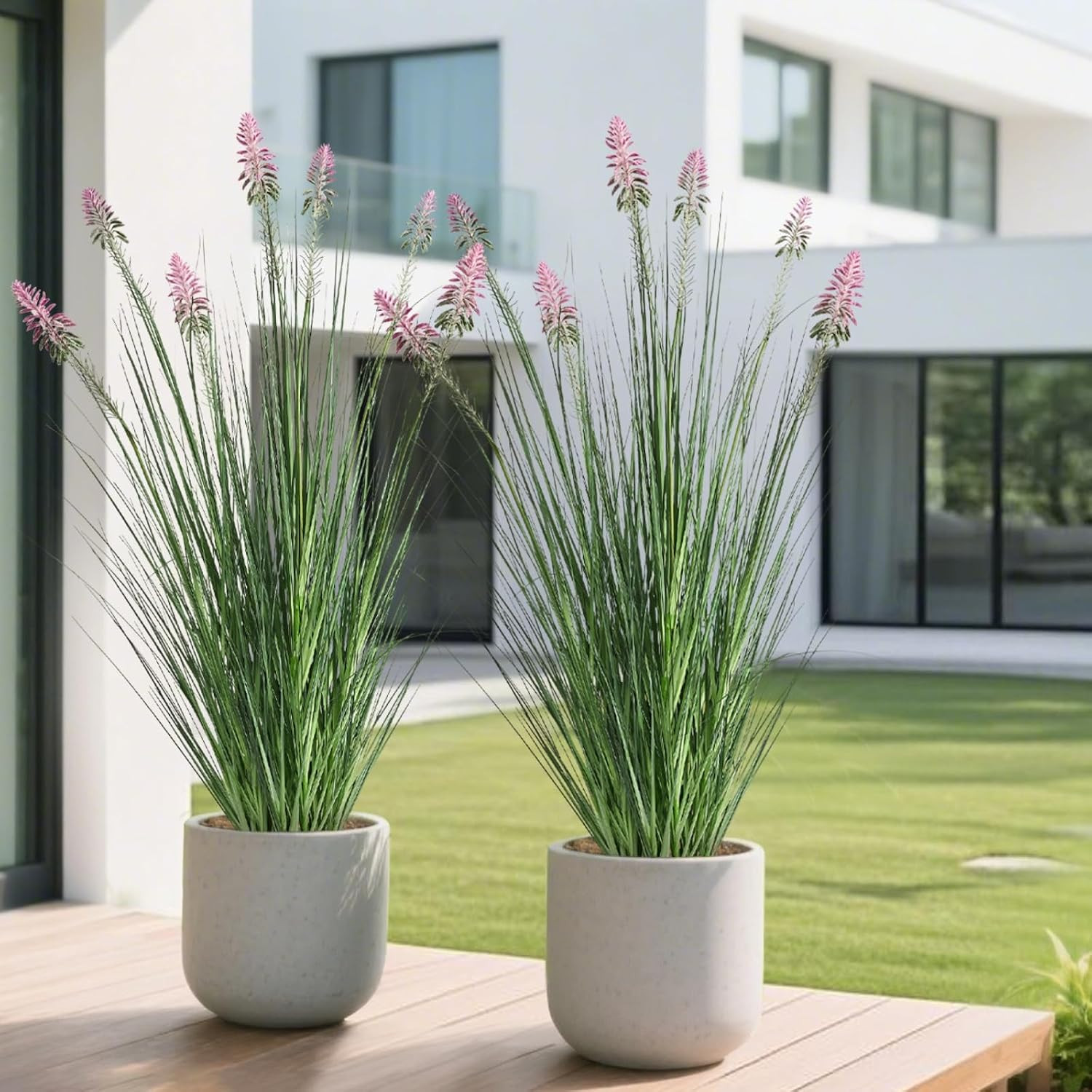 4Ft 2-Pack Horsetail Reed Grass with Purple Cockscomb Flower, 48In Tall Indoor O