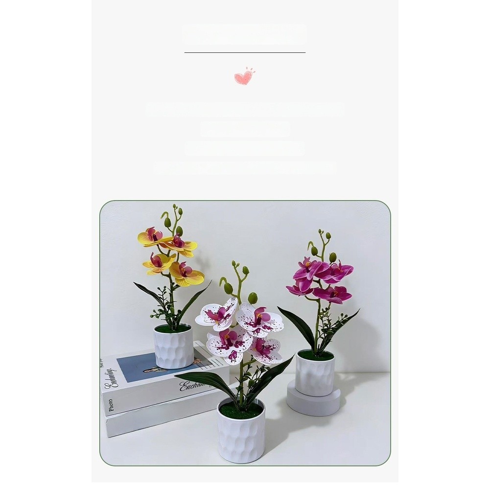 Plastic Phalaenopsis Orchid 3D Printed Potted Artificial Flower 28 x 15 cm