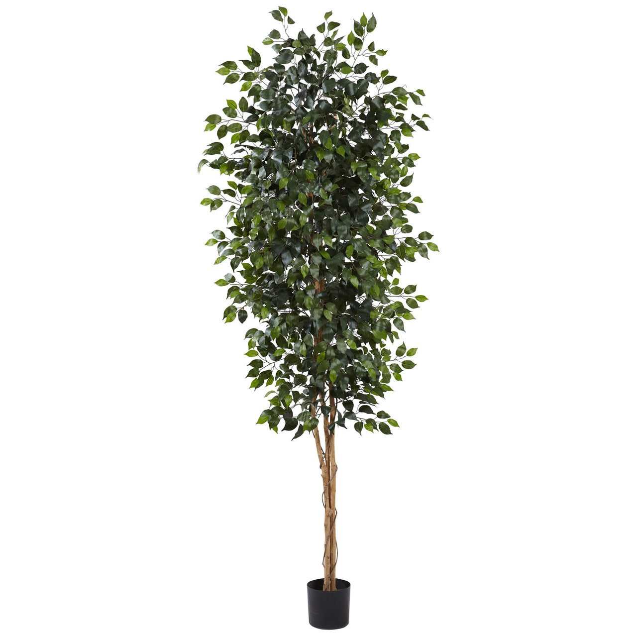 8 Silk Ficus Tree