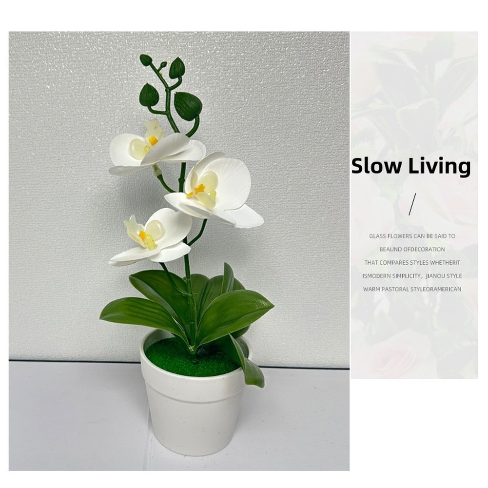 Modern Minimalist Phalaenopsis Orchid Bonsai Potted Plant for Tabletop Use