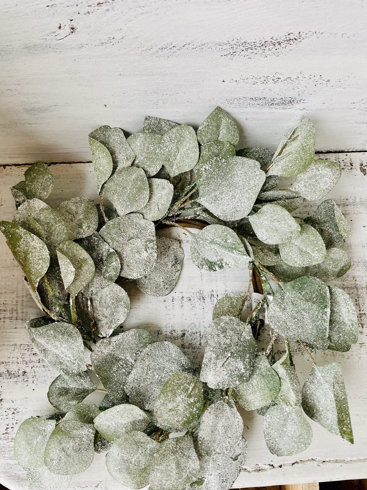 Frosted Dollar Eucalyptus Christmas Or Winter Small Wreath Ring, 6.5