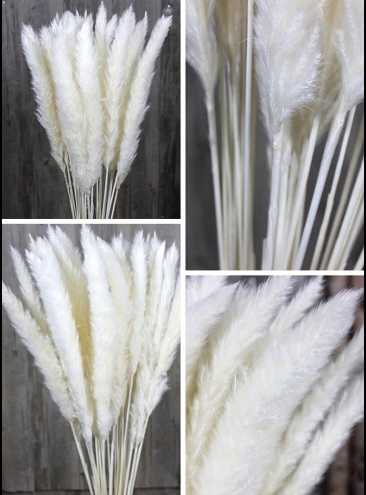 15PCS Natural Dried Pampas Grass 24 In. Reed Flower Wedding Bouquet Home Decors