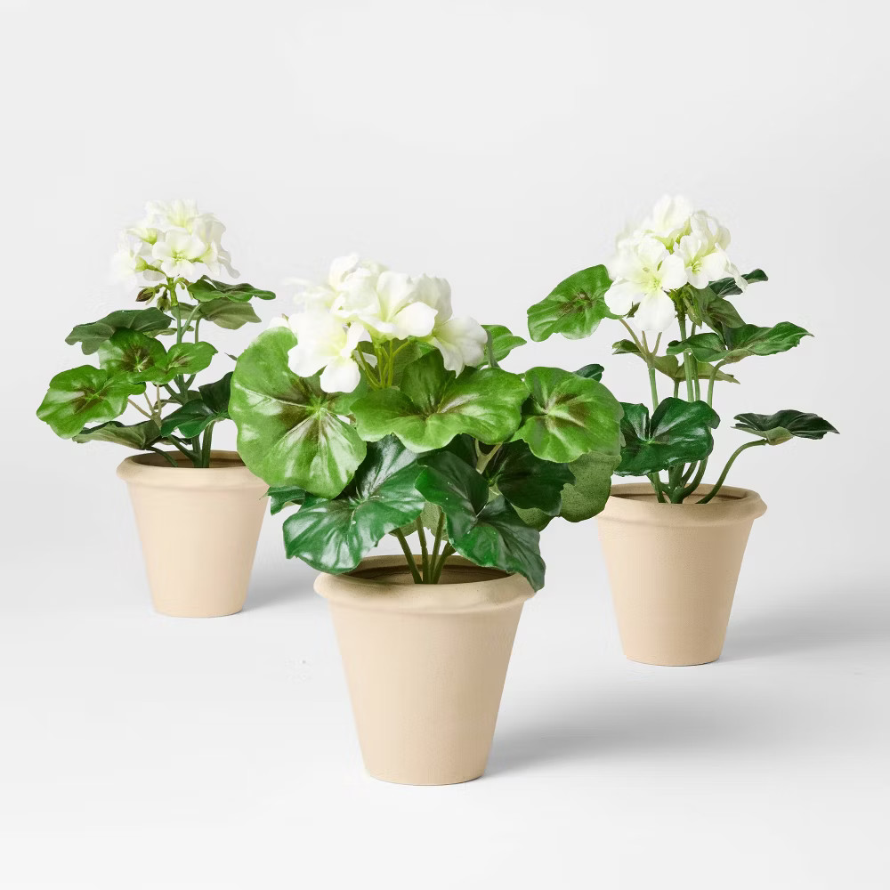 Set of 3 Geranium Potted Arrangements – Threshold Studio McGee Decorative Plants