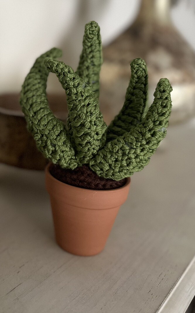 Handmade Crochet Aloe Plant Decor With Terracotta Pot