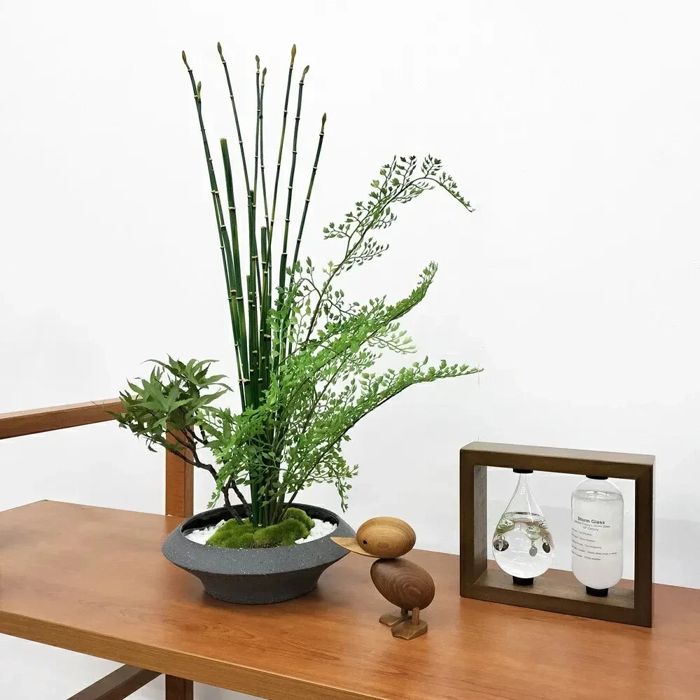 Artificial Japanese Bonsai Maple Adiantum Horsetail Plant CUPBON Made in Japan
