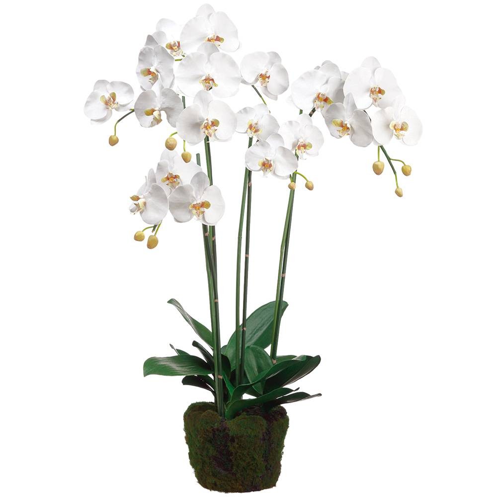 White Phalaenopsis 35″ High Faux Flowers in Soil Vase