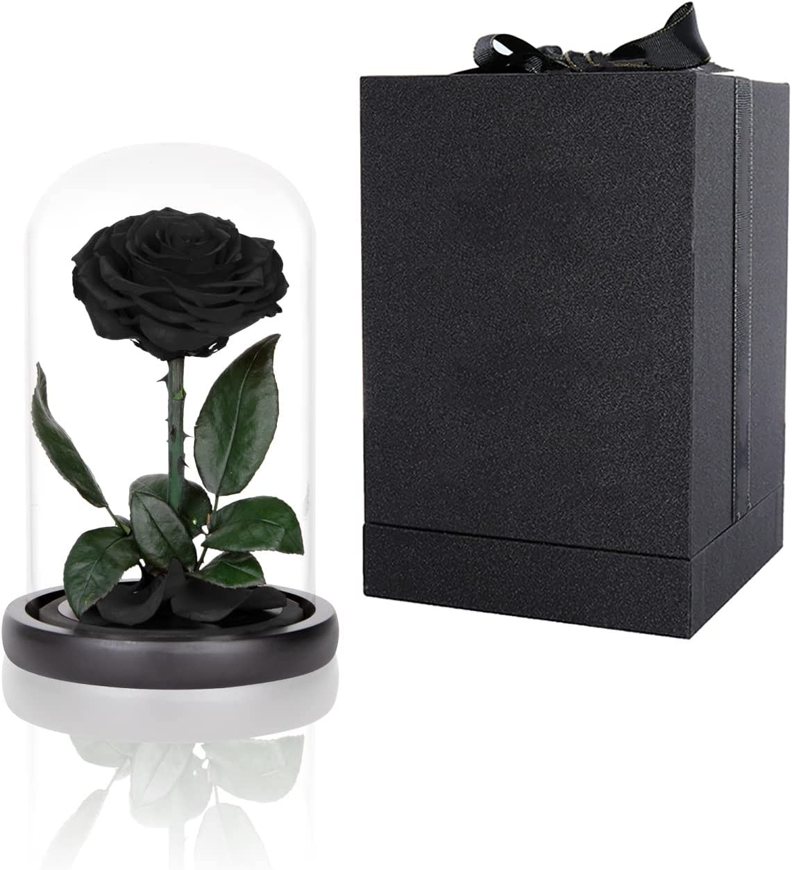 Preserved Roses Black Roses in Glass Dome, Medium, Preserved Flowers for Women
