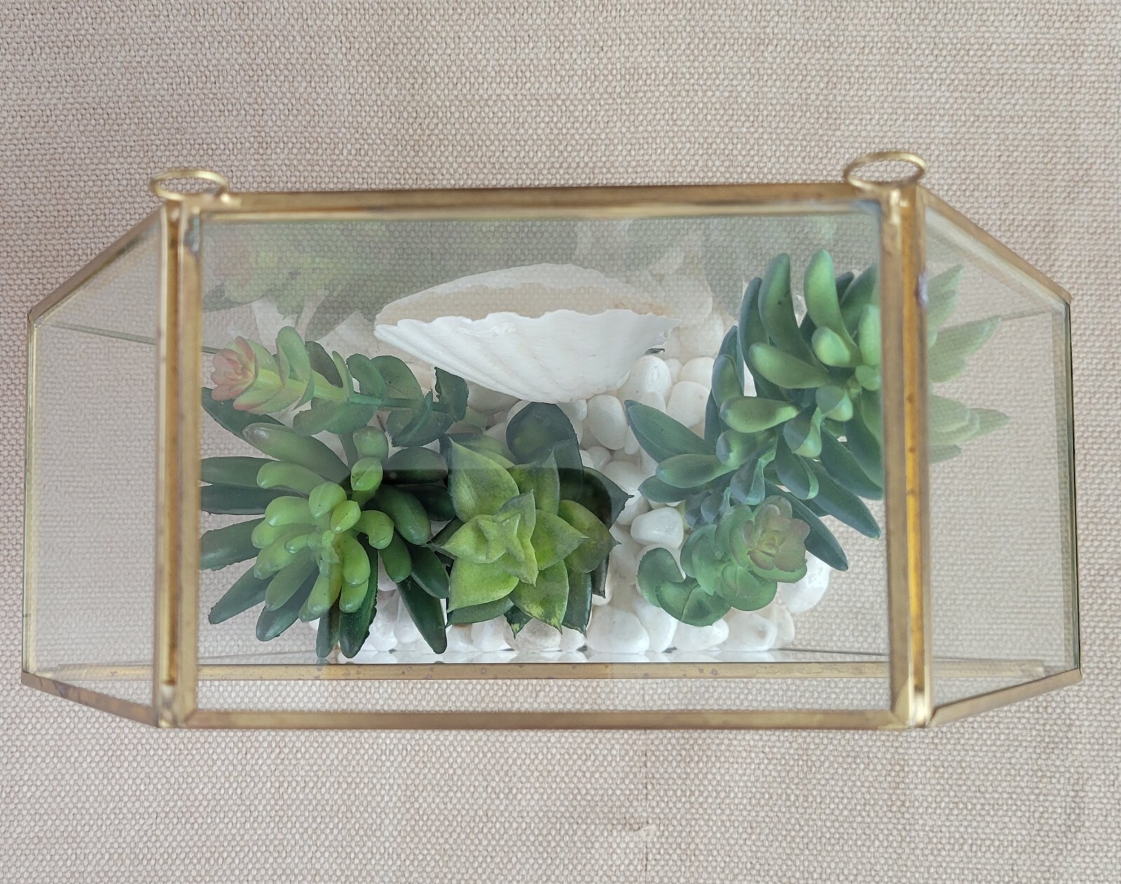 Plant Terrarium Geometric Gold Edge Planter Artificial Succulent Open Side Glass