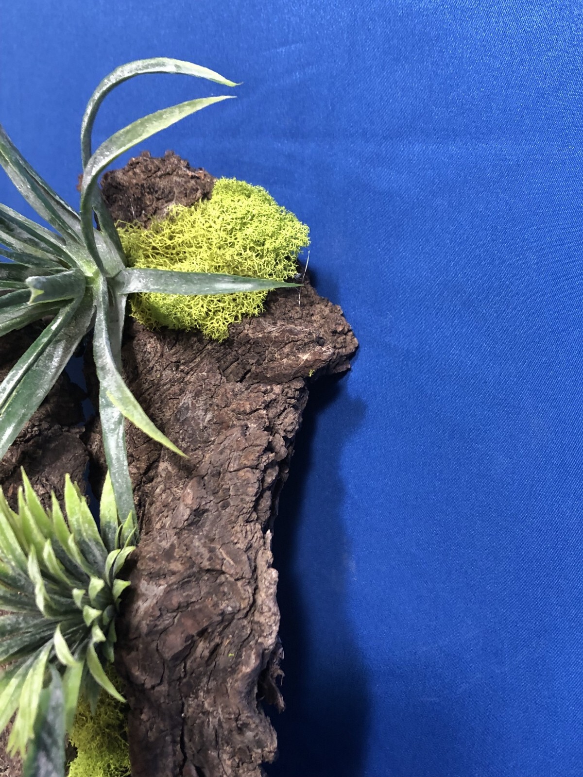 Artificial Succulent Air Plant Wall Art Home Office Mounted on Real Wood Bark