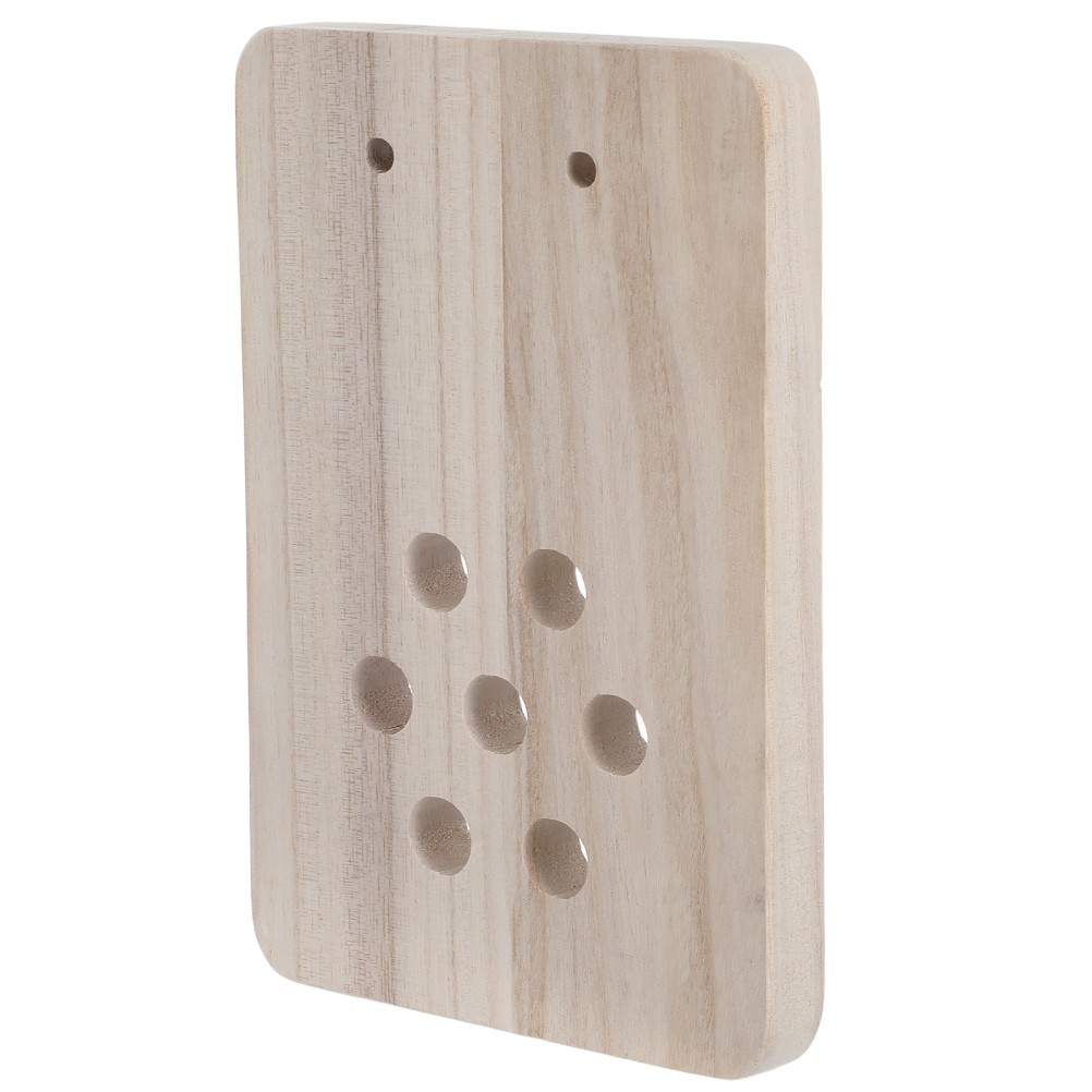 Fern Mounting Board: Wooden Planter – Wall Display Decorative