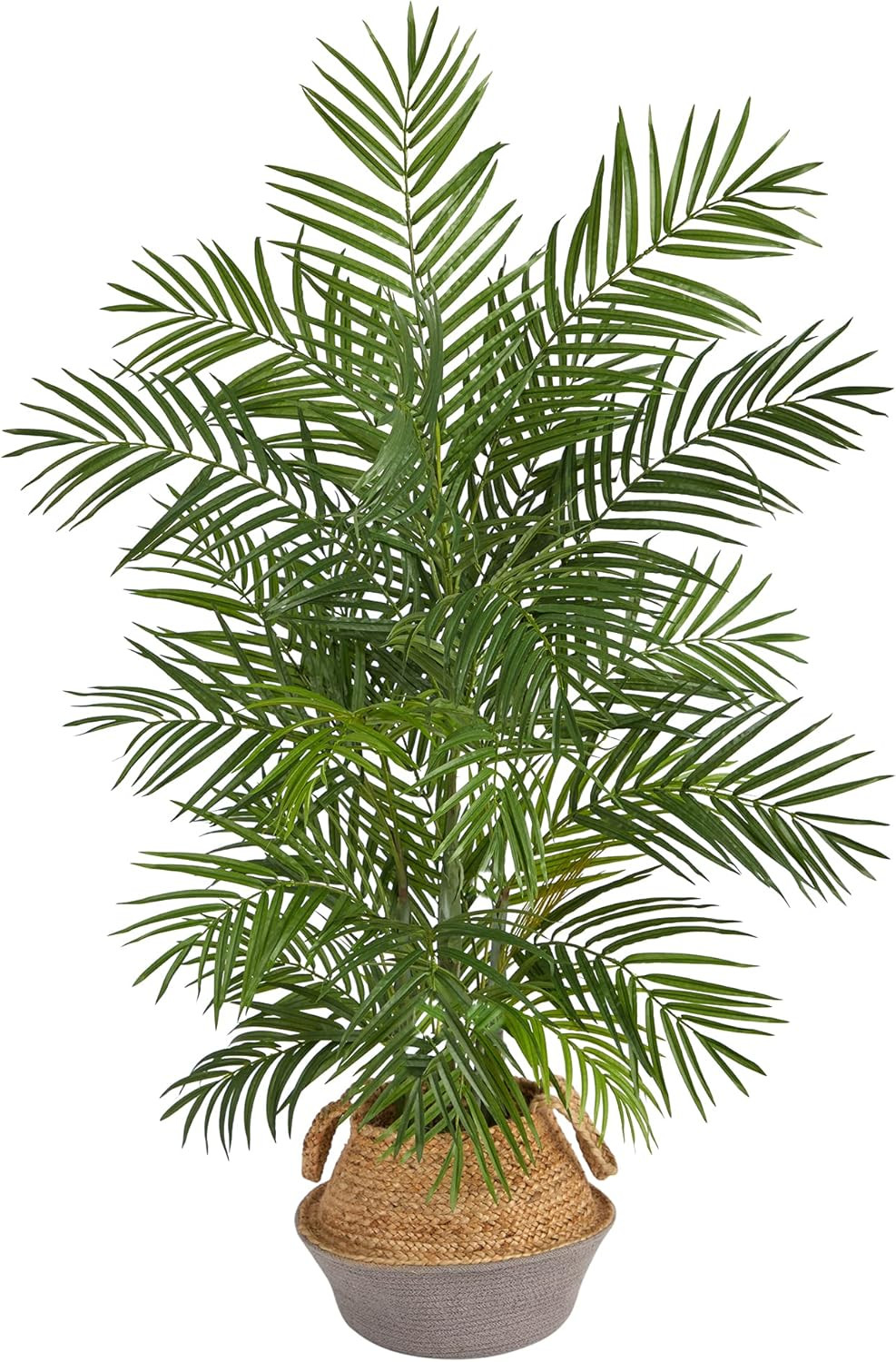 4Ft Areca Palm Branches in Boho Cotton & Jute Woven Planter