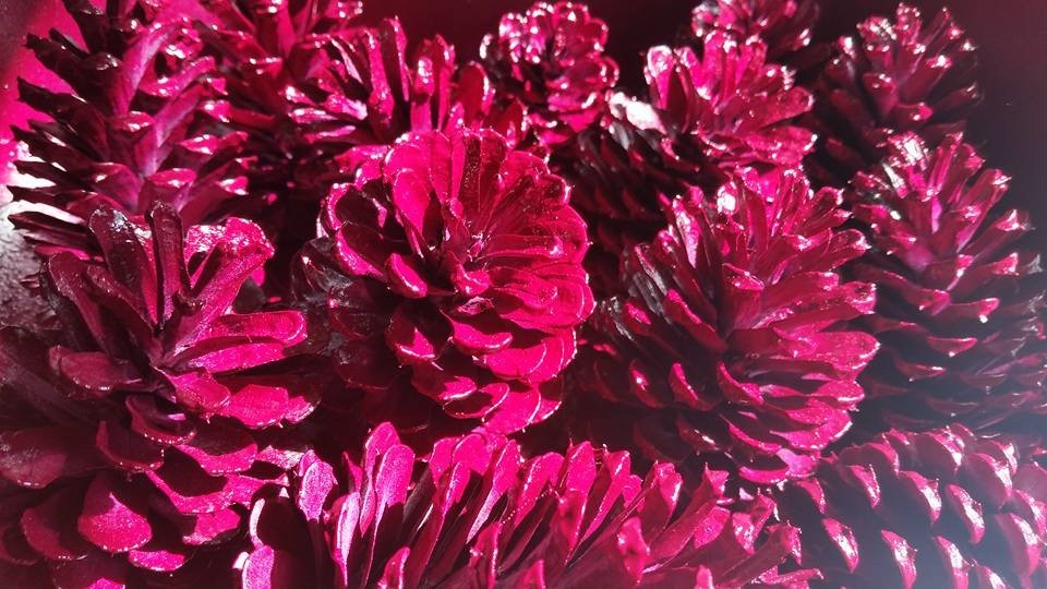 12 Magenta Pine Cones Hand Painted All Natural Premium Cones One Dozen Painted P