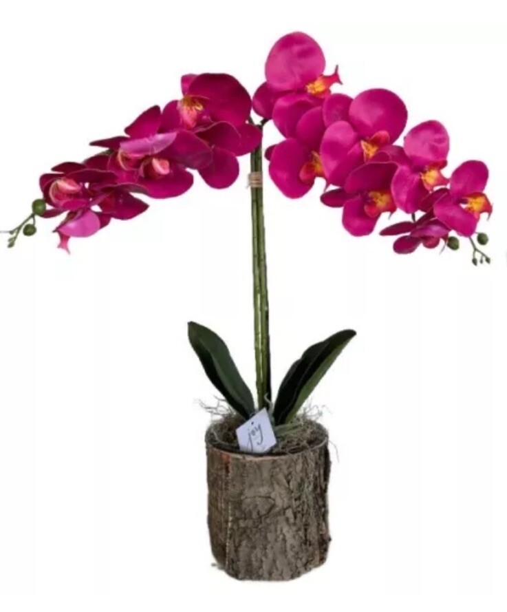 Double Orchid in Birched Vase 27″ Pink Joy By Joanna Buchanan