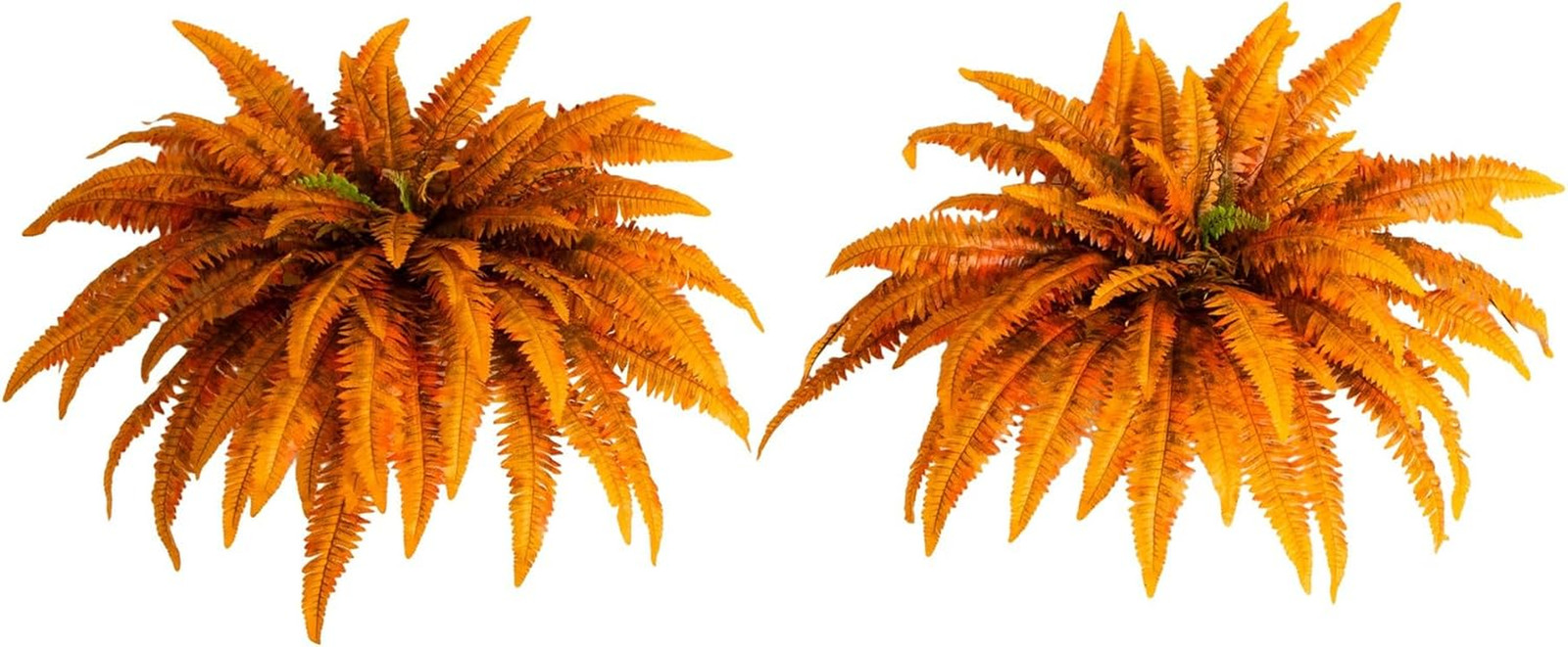 48-Inch Autumn Artificial Fall Boston Fern Set of 2 – Harvest Season Foliage Mim