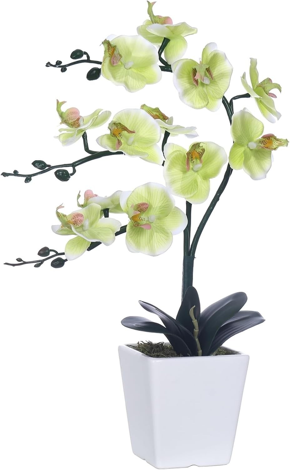 Gorgeous 15-Inch Silk Phalaenopsis Orchid Plant – Perfect Housewarming Gift