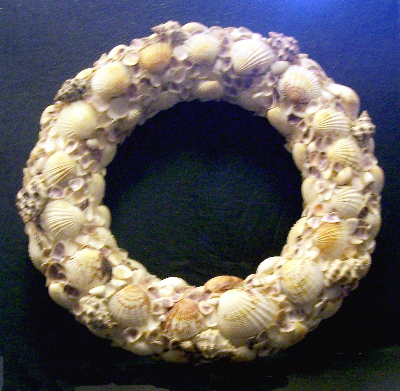 Sea Shell Wreath 10.5″ x 1.75″ x 5.5″ (Inside Diameter)