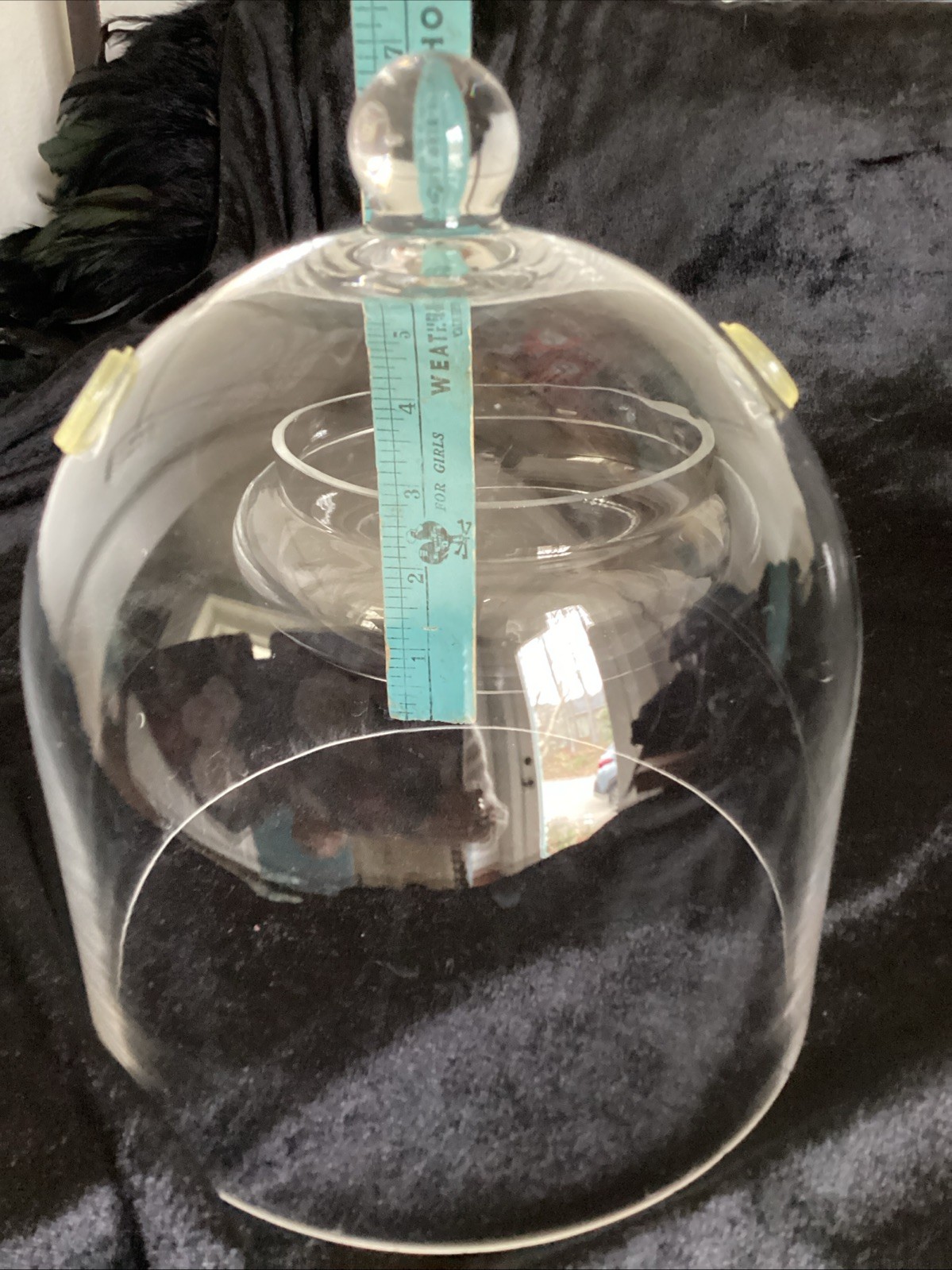 7×7 inches Glass Cloche and Base Small Terrarium with 2 Air Holes Display Case
