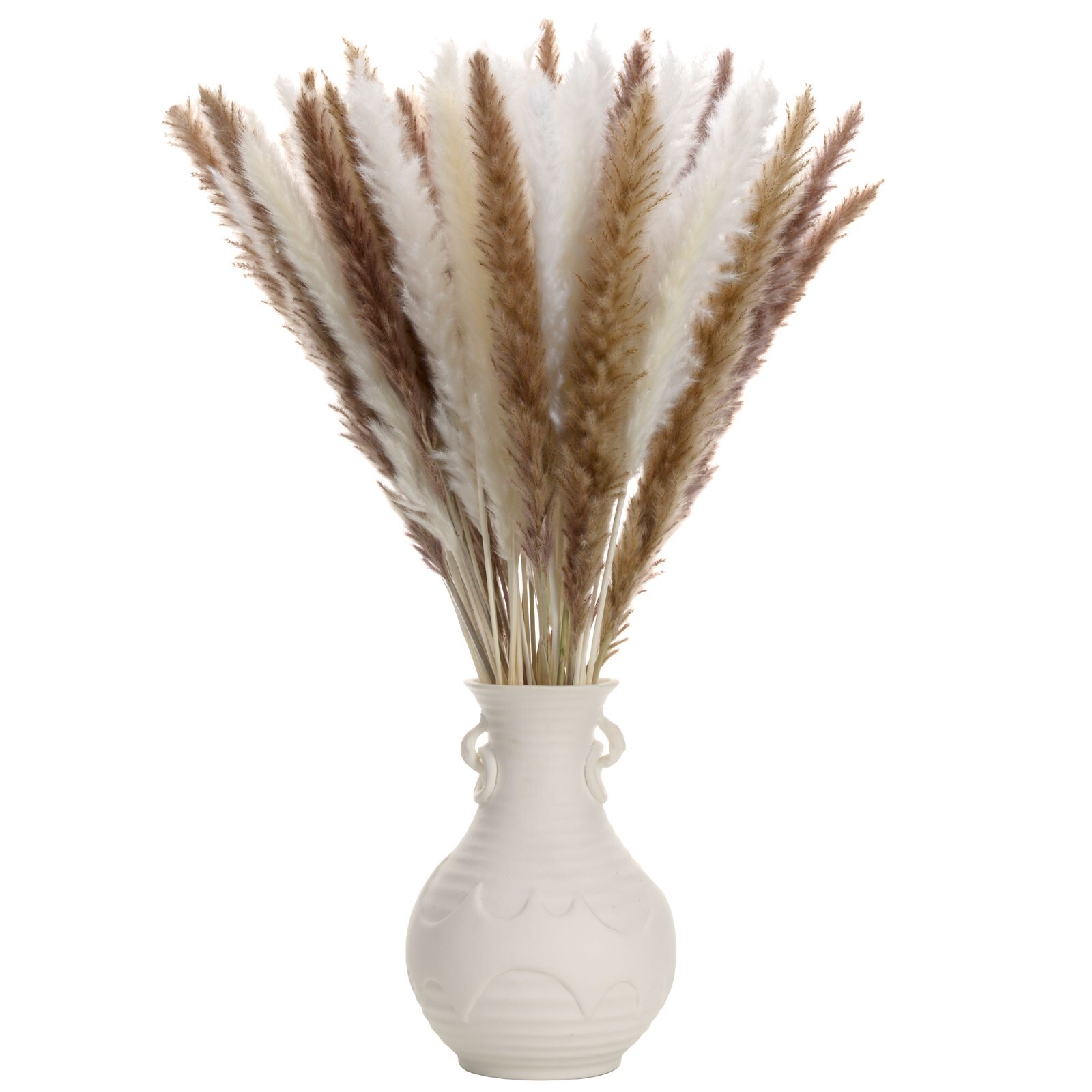 60 Piece Pampas Grass Bundle. 30 White Stems 30 beige/natural stems. 22″ Stems.