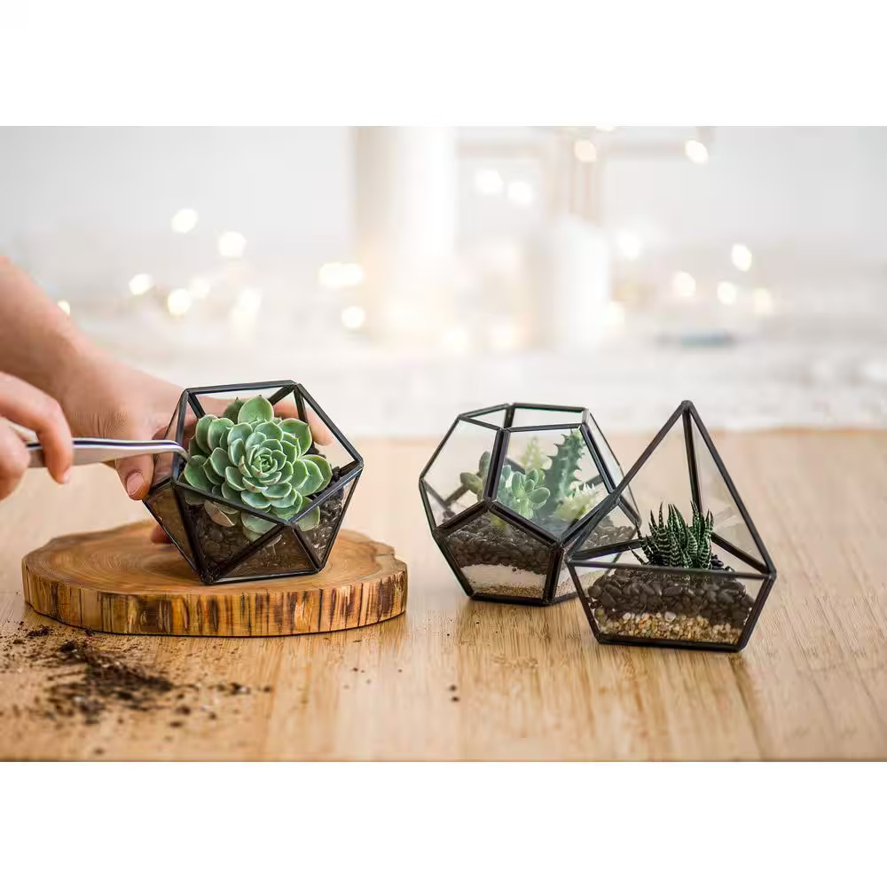 3-Pack 4 In. Mini Glass Tabletop Geometric Container, Modern Desktop Flower Pot