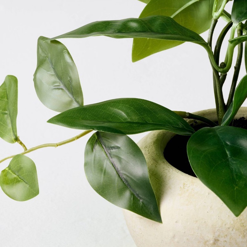 8.5" Small Trailing Hoya Leaf Potted Artificial Plant – Hearth &