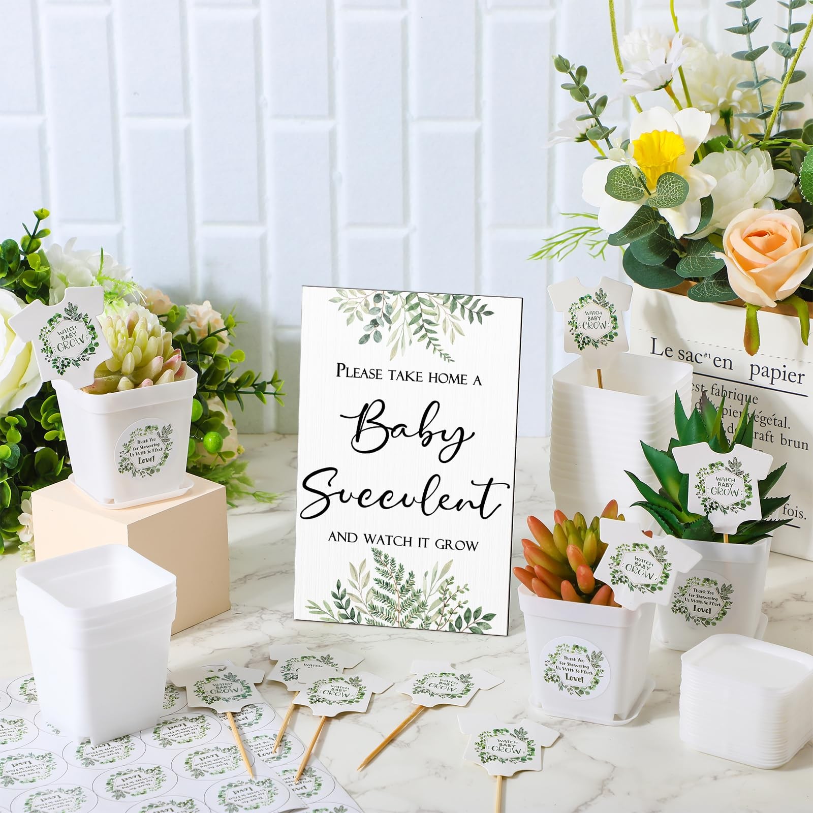 151 Pcs Baby Shower Succulents Favors for Guests Include 1 Safari Greenery Ba…