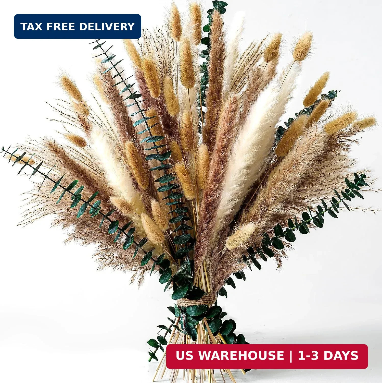 Pampas Grass Decor, Dried Flower Bouquet with Bunny Tail Grass, Pampas Grass & E