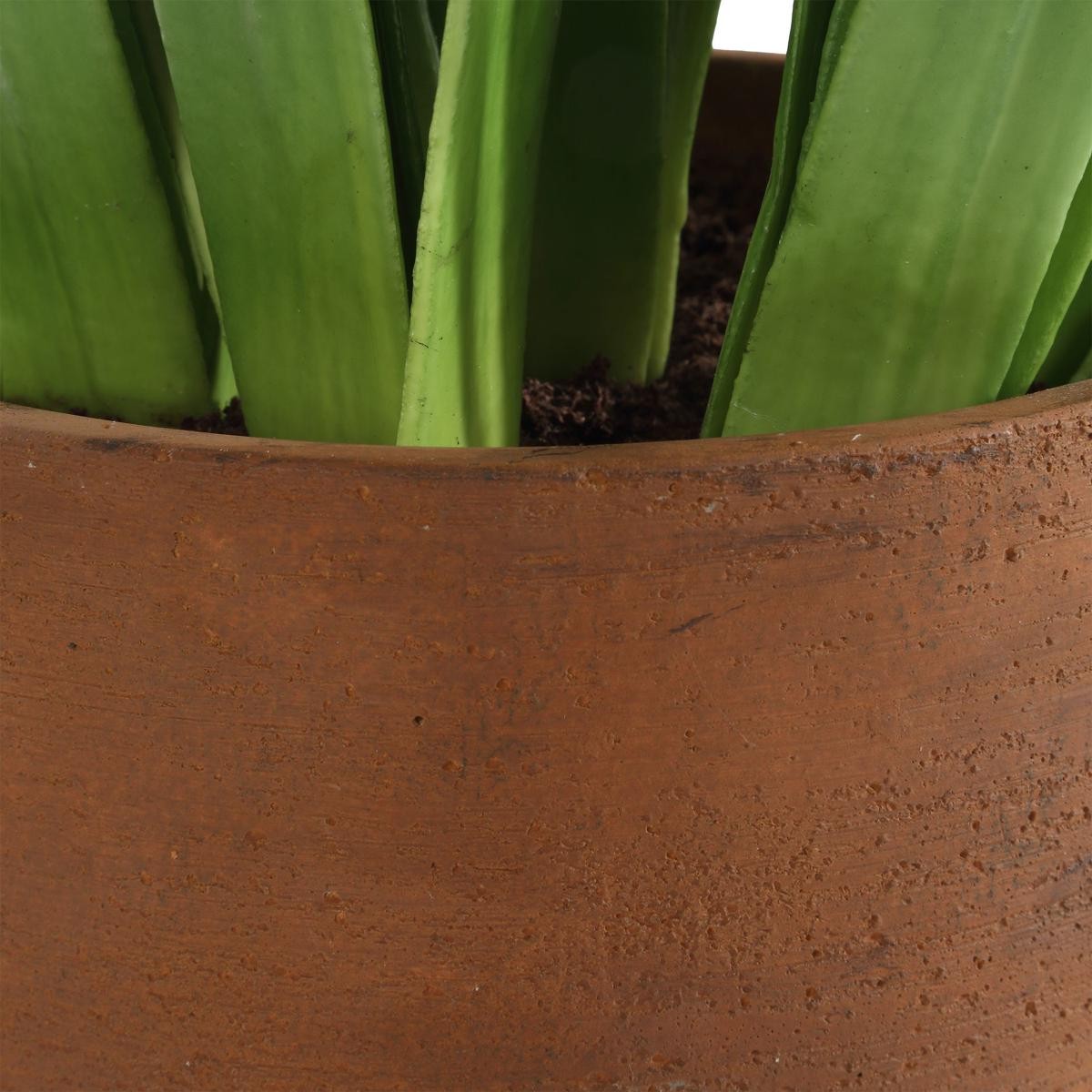 Uttermost 60242 Sincerity White and Green and Terracotta Potted Hyacinth Plant