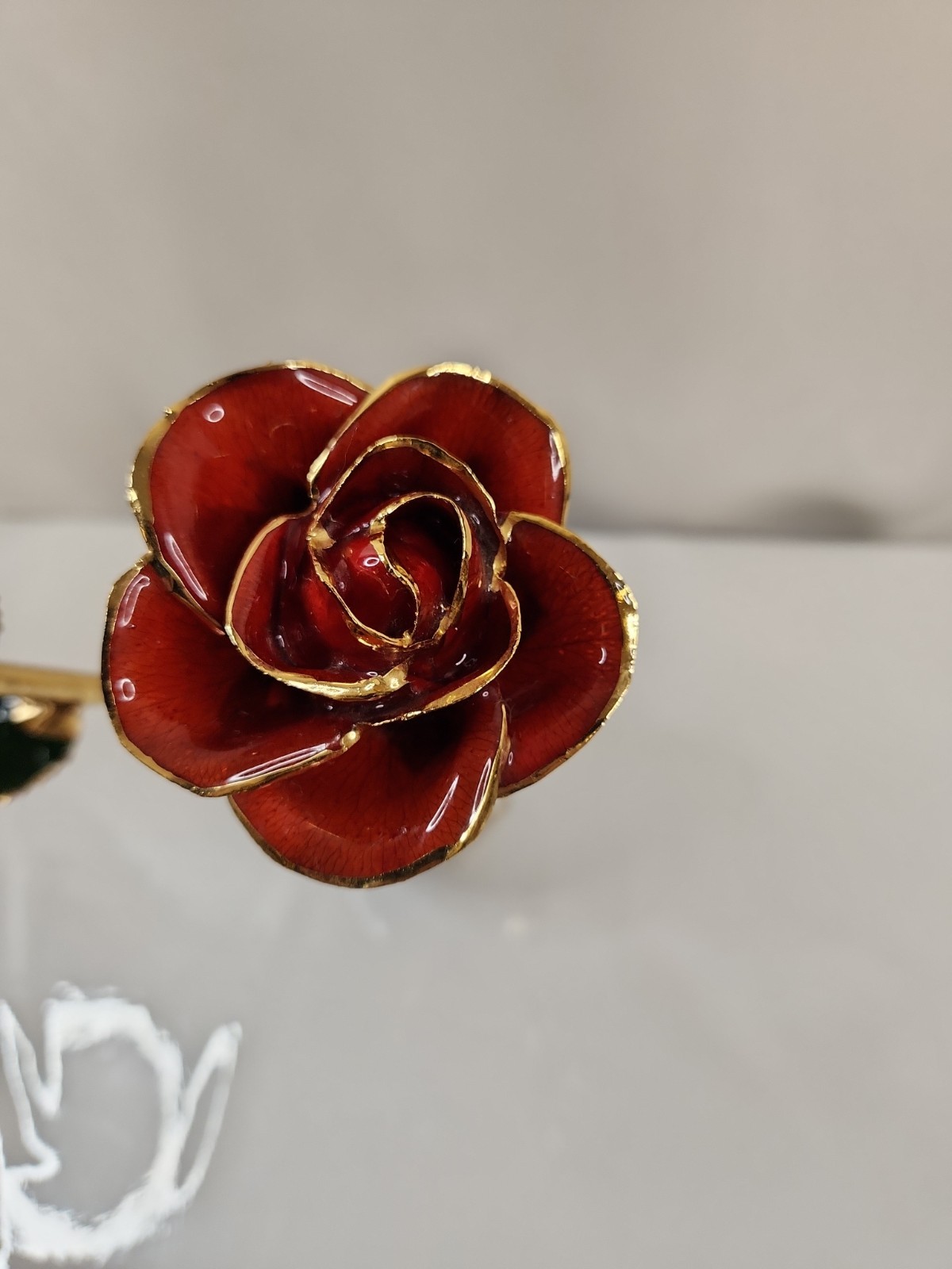 Lovely Red Rose with Gold Accents