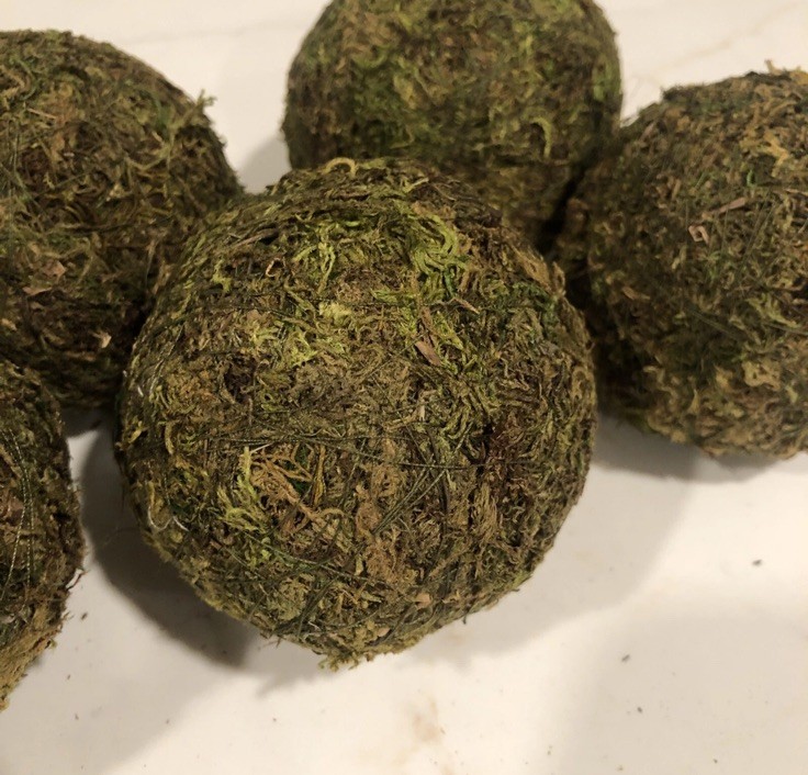 Natural Moss Balls Spheres 3-3.5 inches (5 Balls)
