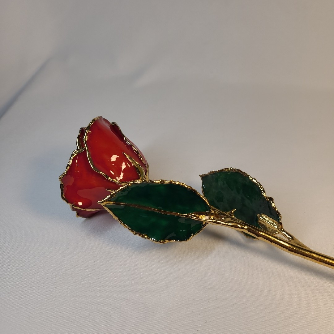 Lacquer Dipped Gold Trim Red Rose 11 in