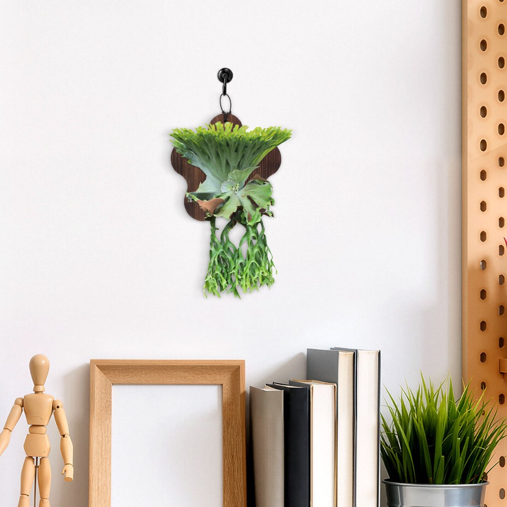 Home Wall Plant Holder Brown Wooden Mounting Board for Vertical Plant Display