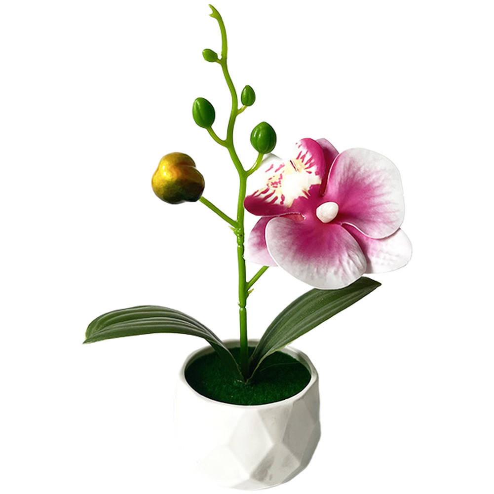 Phalaenopsis Floral Reproduction in Diamond Designed Pot for Contemporary Space