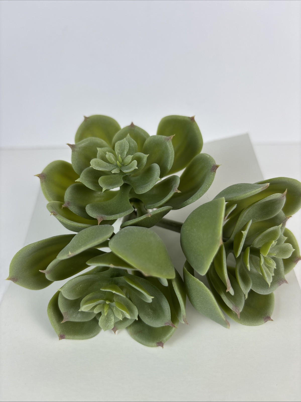 Three (3) Faux Stems Of Echeveria, A Beautiful Succulent, 3.5” Tall