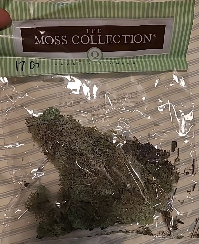 SuperMoss Forest Dried Moss Planters Pots Container Gardens Natural Green Plants