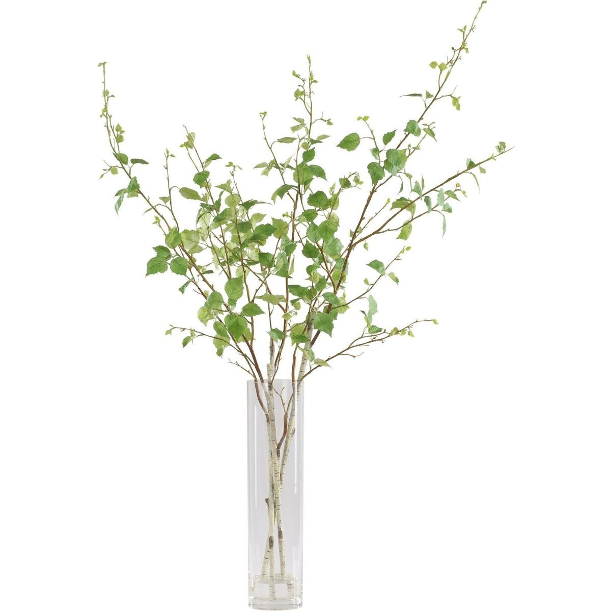 Uttermost 60254 Nigra Green Birch in Vase Centerpiece