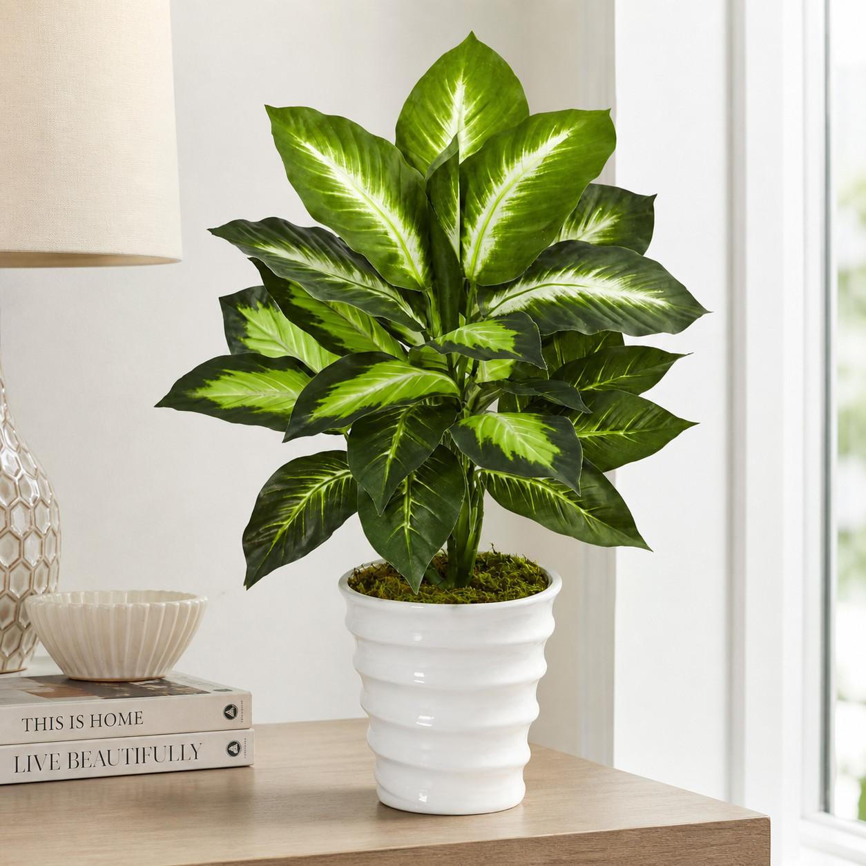 22″ Dieffenbachia in Swirl Planter