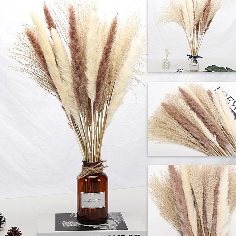 60PCS Pampas Grass Natural Dried Reed Flower Bunch Bouquets Home Wedding Decor