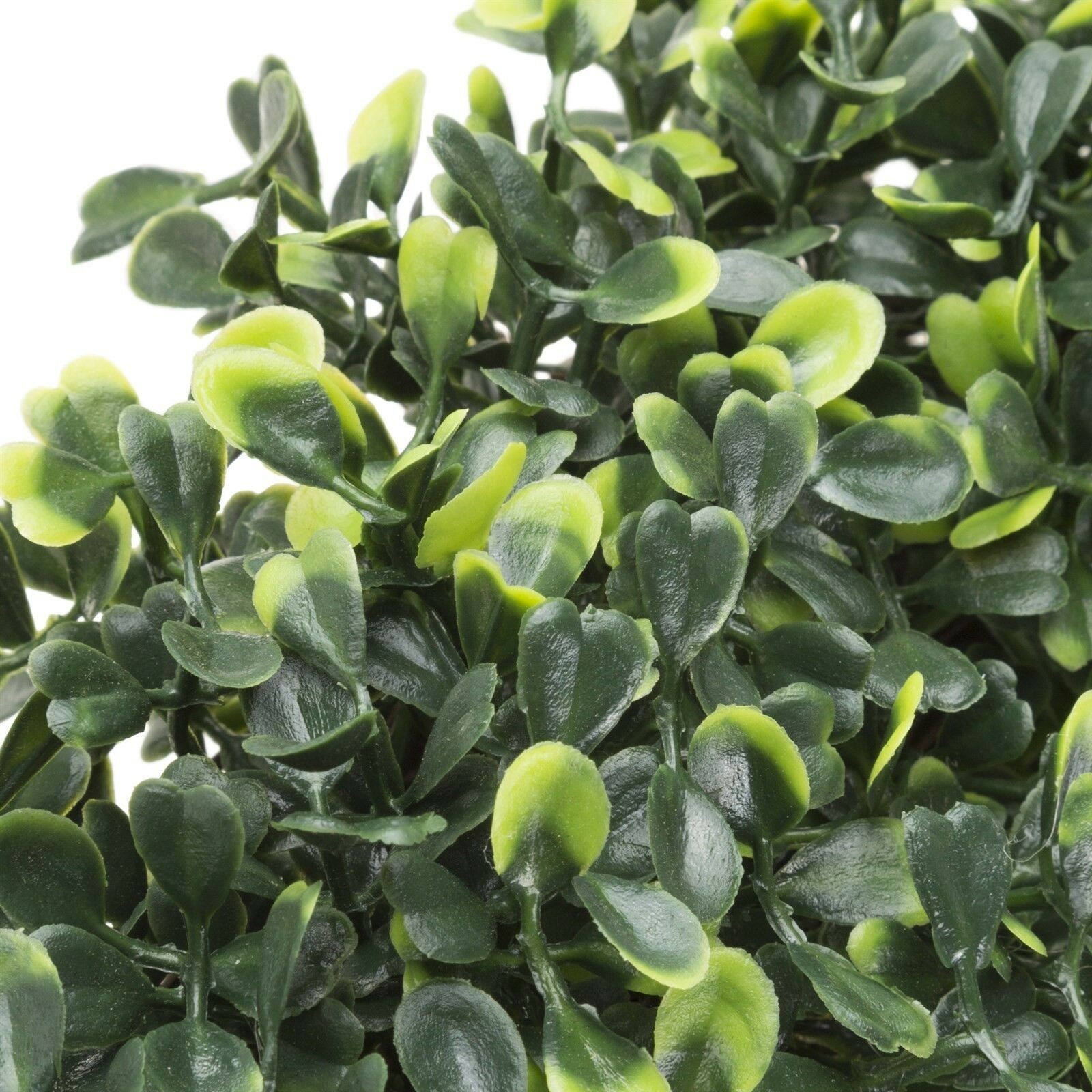 Pure Garden 19 Inch Boxwood Wreath Indoor Outdoor Artificial Plant