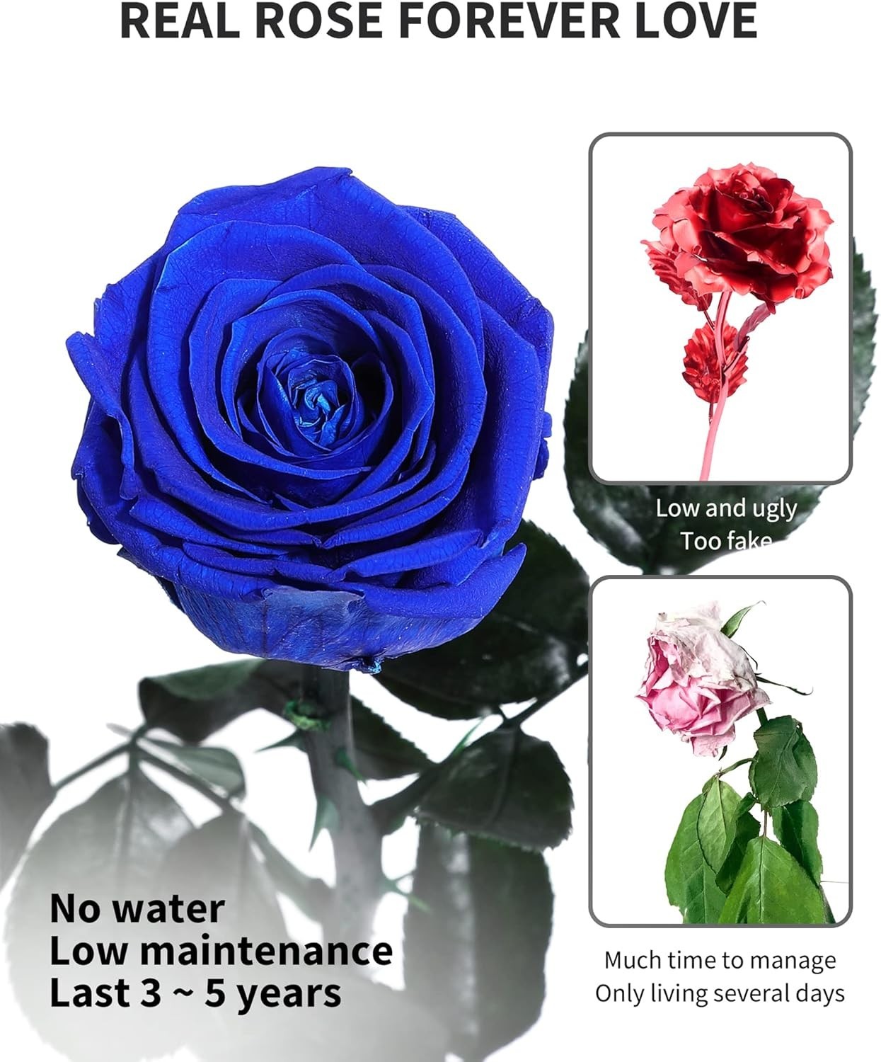 Elegant Preserved Blue Roses – Perfect Birthday & Anniversary Gift for Women