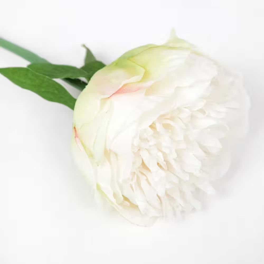 2-Bouquet 10-Heads White Artificial Peony Silk Flower and Leaf Home Office with