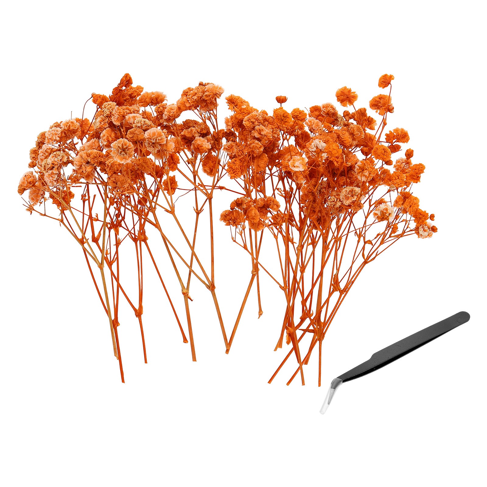 30 Pcs 4″ Dried Gypsophila Flower Orange Pressed Flowers w Tweezer for DIY