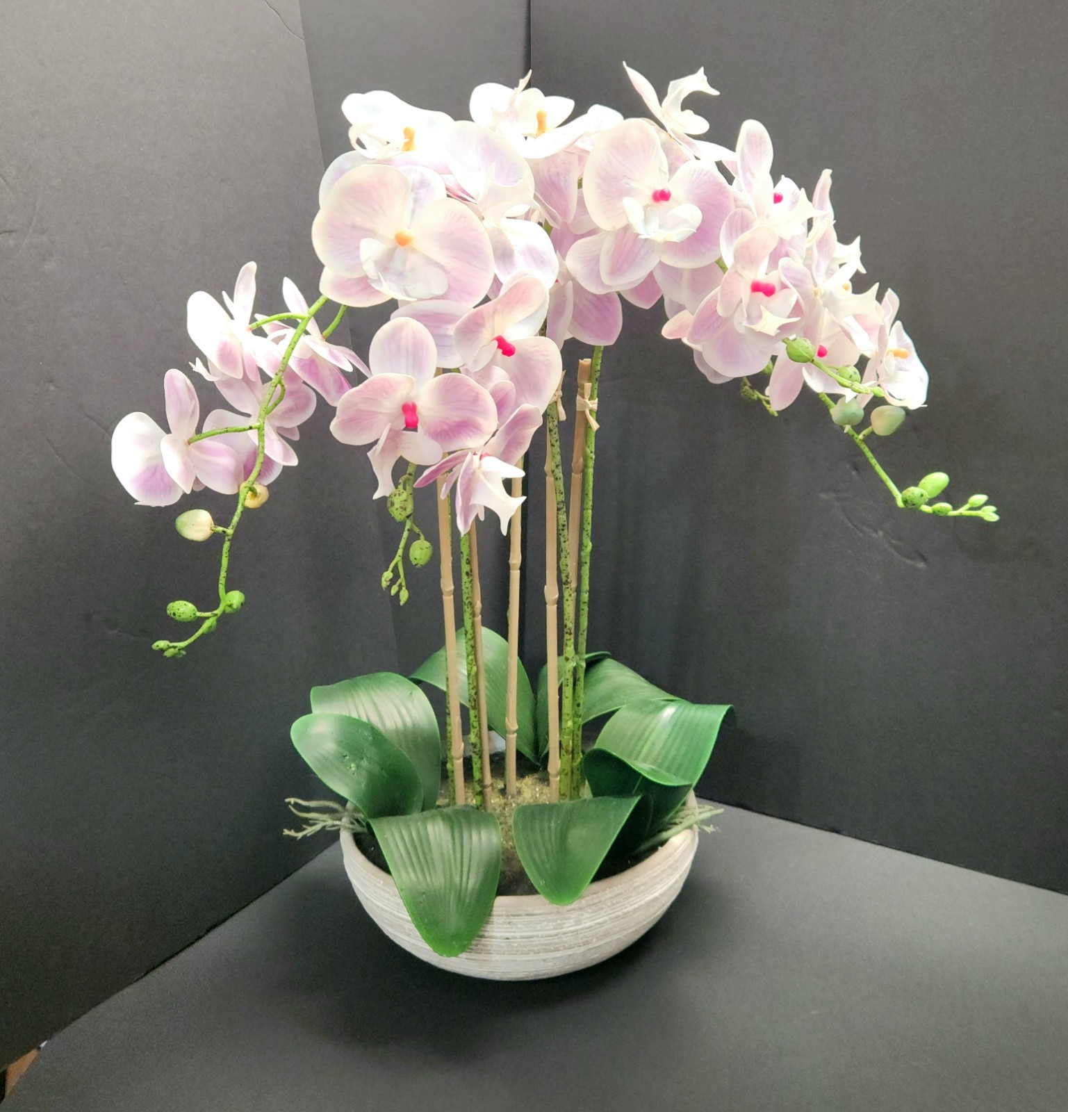 Allen + Roth Silk Artificial Orchid – New